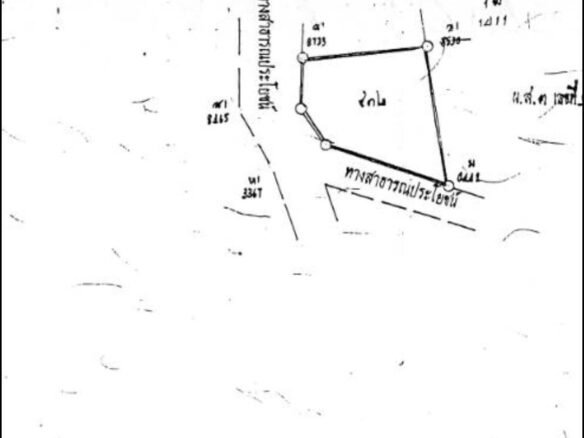 🕊️Land for Sale: Petchprasit 11