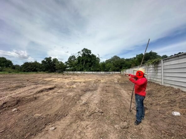 Land 2 rai 30 sq.wa (Nong Yai Soi 3). ที่ดิน 2 ไร่ 30 ตร.วา (หนองใหญ่ ซอย 3)